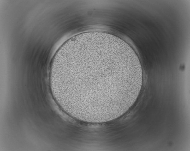 X0000112381099200909241208