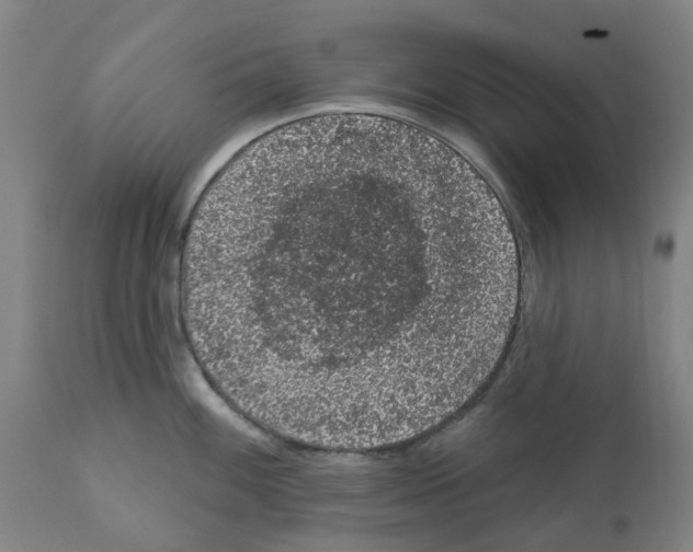 X0000112381100200909241208