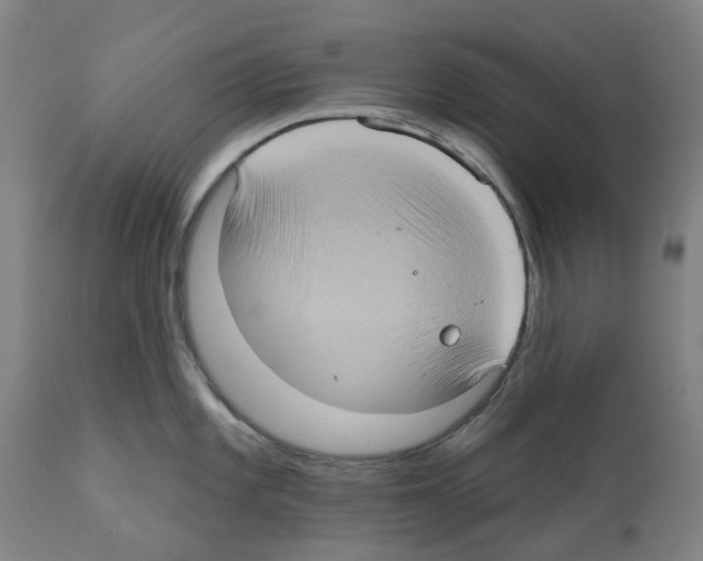 X0000112381101200909241208