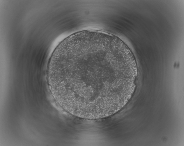 X0000112381104200909241208