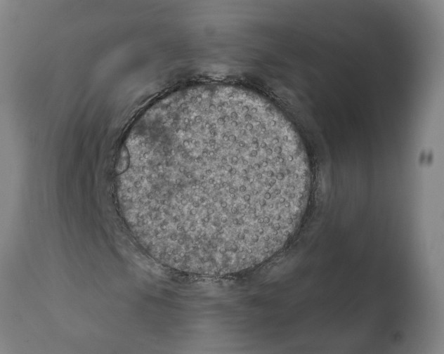 X0000112381105200909241207