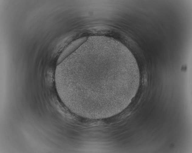 X0000112381108200909241207