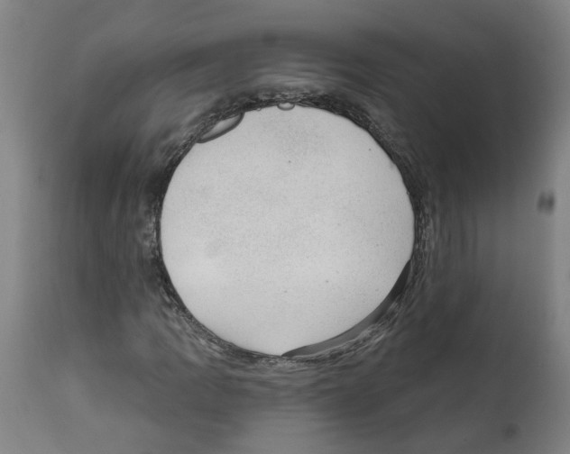 X0000112381109200909241207