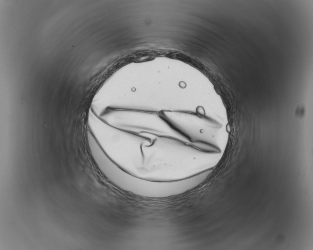 X0000112381110200909241208