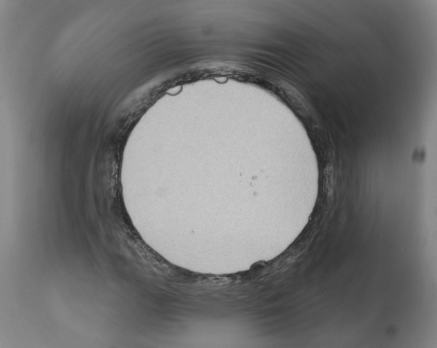 X0000112381111200909241208