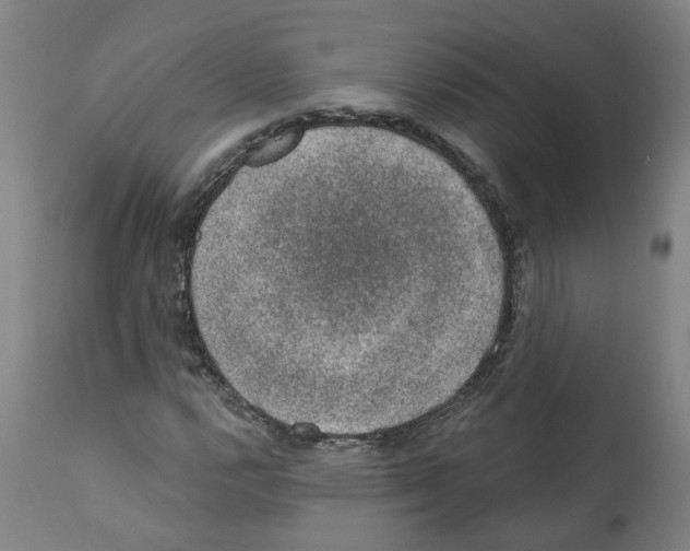 X0000112381112200909241208