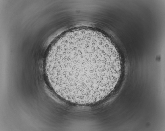 X0000112381113200909241208