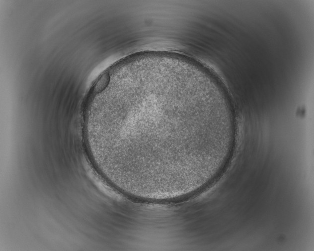 X0000112381114200909241208