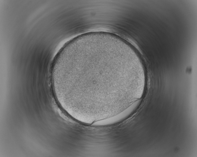 X0000112381116200909241208