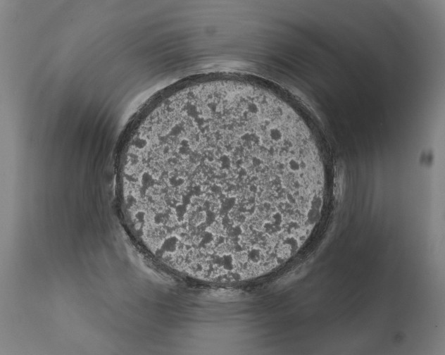 X0000112381117200909241208