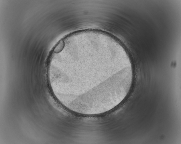 X0000112381118200909241208