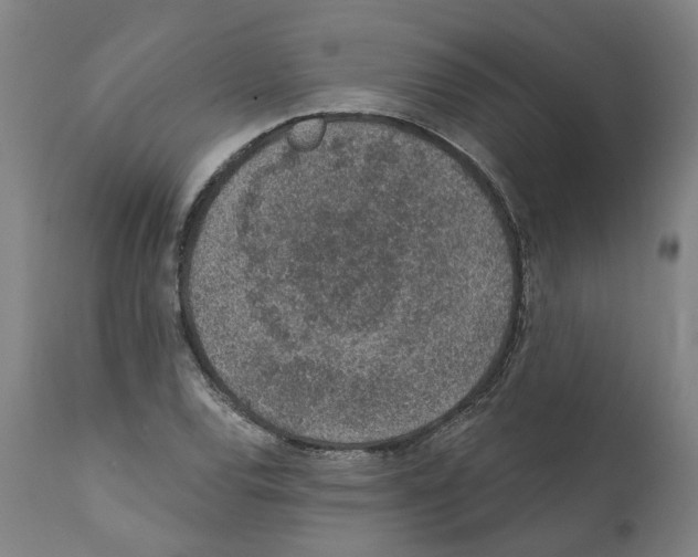 X0000112381120200909241208