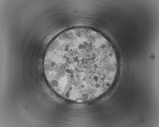 X0000112381121200909241208