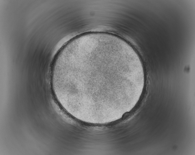 X0000112381122200909241208