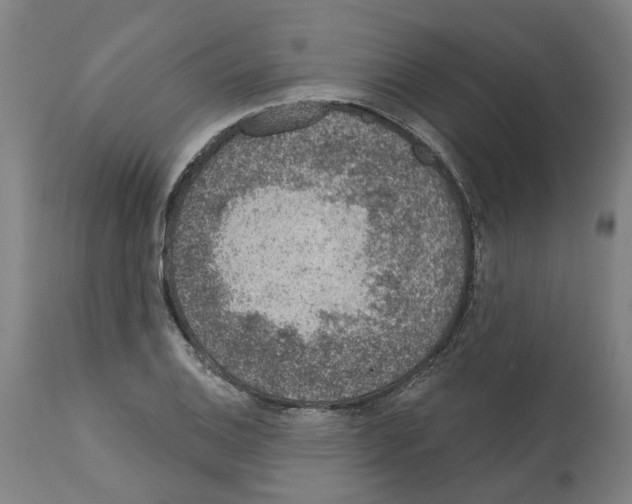 X0000112381124200909241208