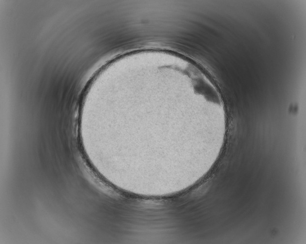 X0000112381126200909241208