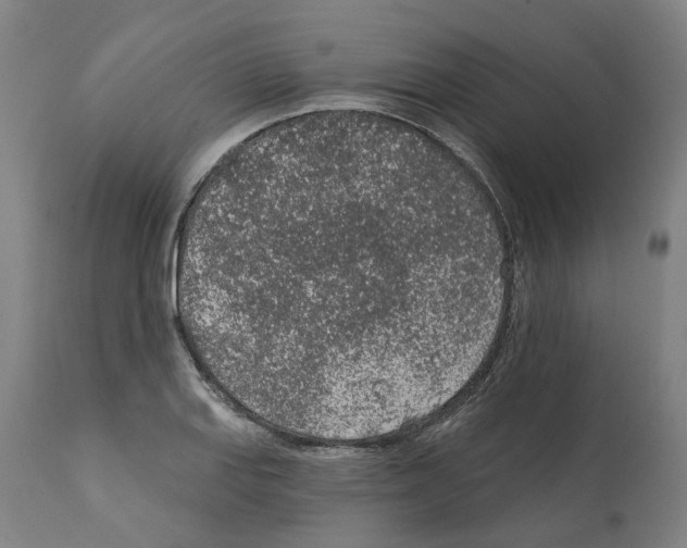 X0000112381127200909241208