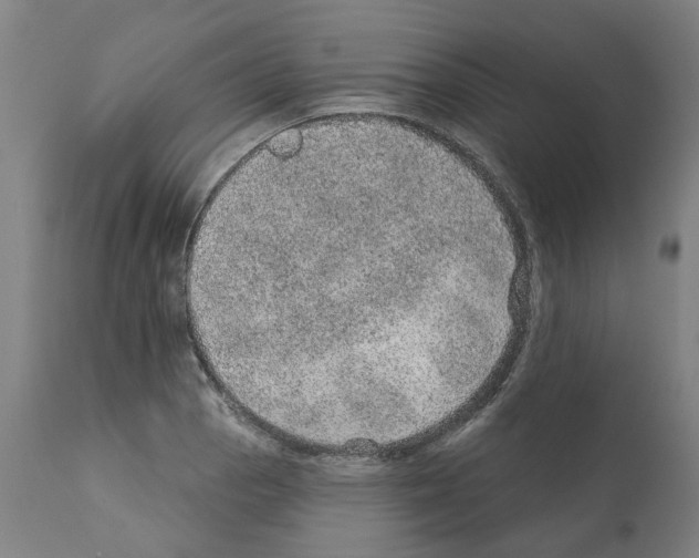 X0000112381129200909241208