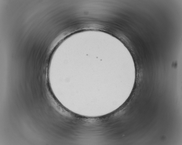 X0000112381130200909241208