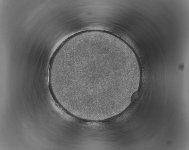 X0000112381132200909241208