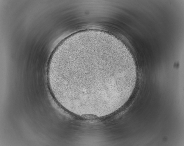 X0000112381133200909241208