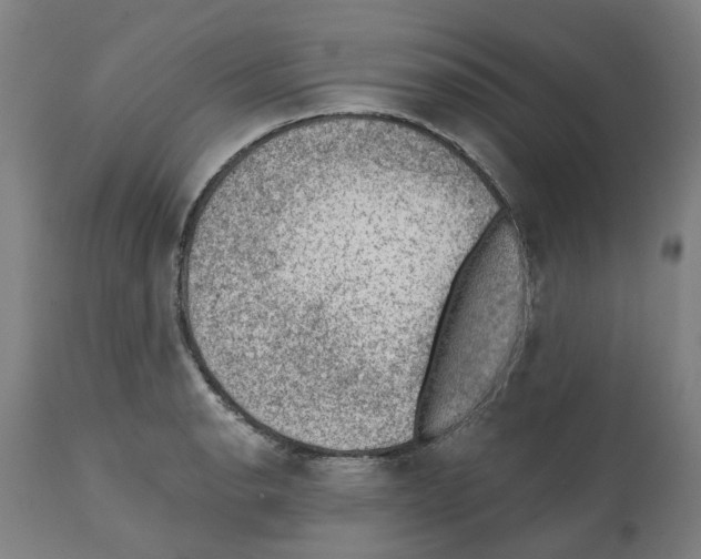 X0000112381134200909241208