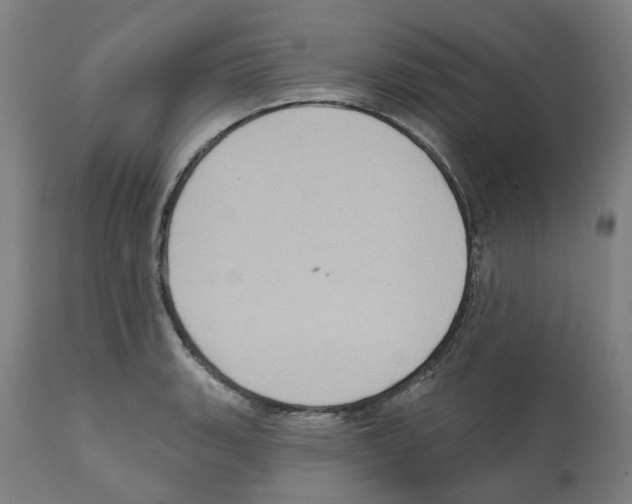 X0000112381135200909241208