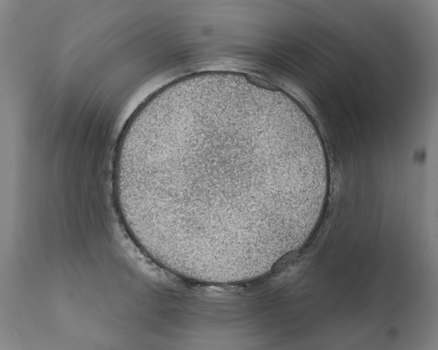 X0000112381138200909241208