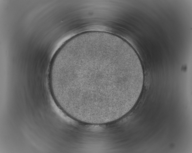 X0000112381139200909241208