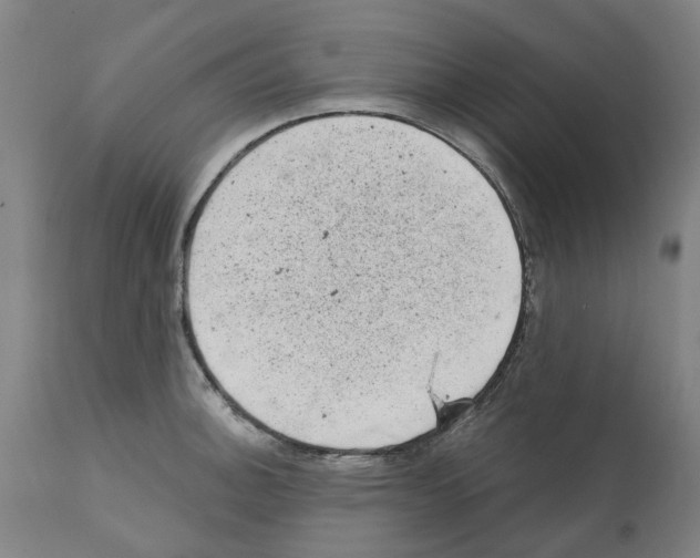 X0000112381140200909241208