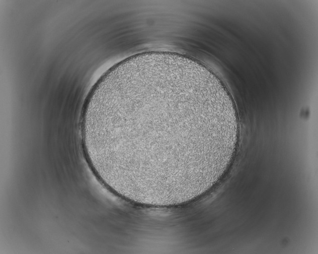 X0000112381141200909241208