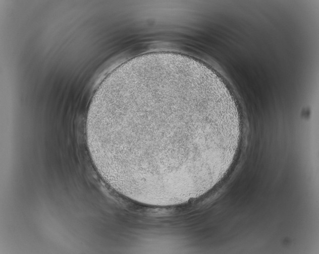 X0000112381145200909241208