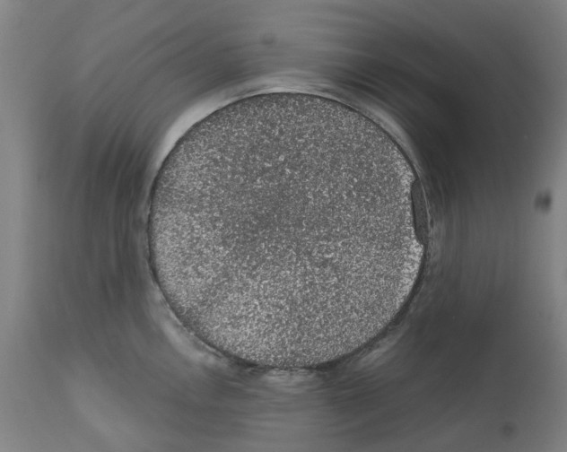 X0000112381146200909241208