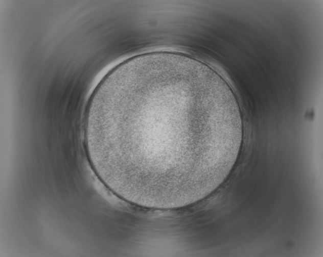 X0000112381148200909241208