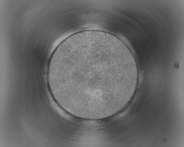 X0000112381149200909241208