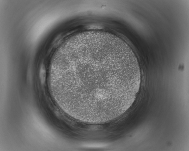 X0000112381151200909241208