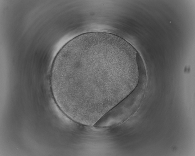 X0000112381152200909241208