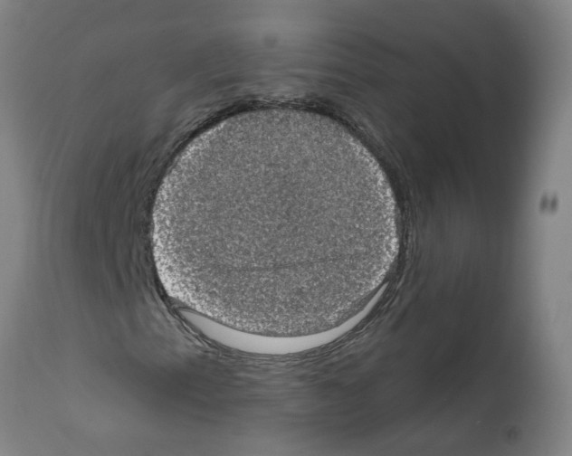 X0000112381153200909241207