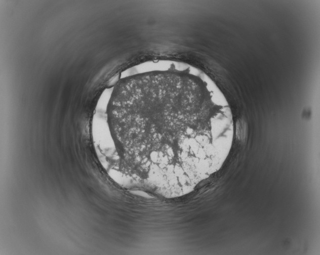 X0000112381155200909241207