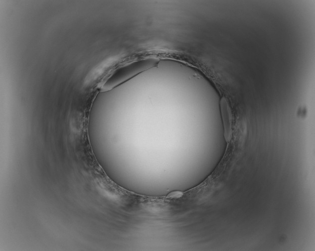 X0000112381157200909241207