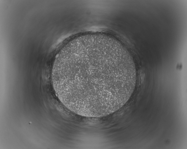 X0000112381158200909241207