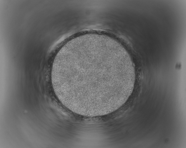 X0000112381159200909241207