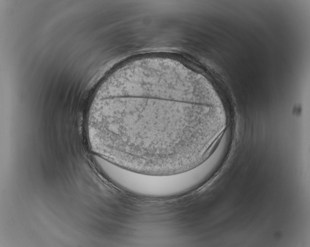 X0000112381161200909241207