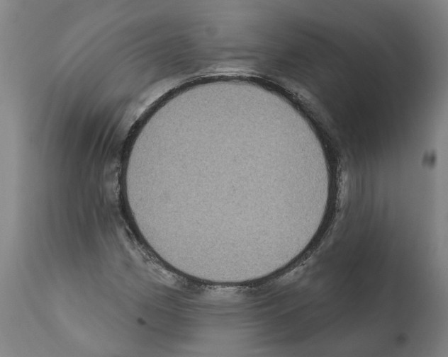 X0000112381162200909241207