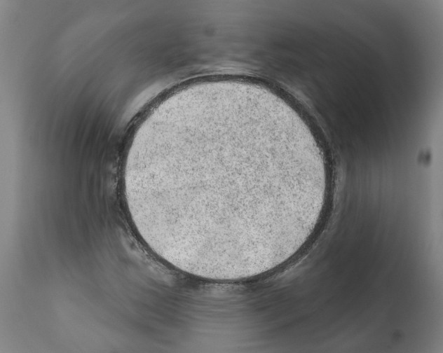 X0000112381163200909241207