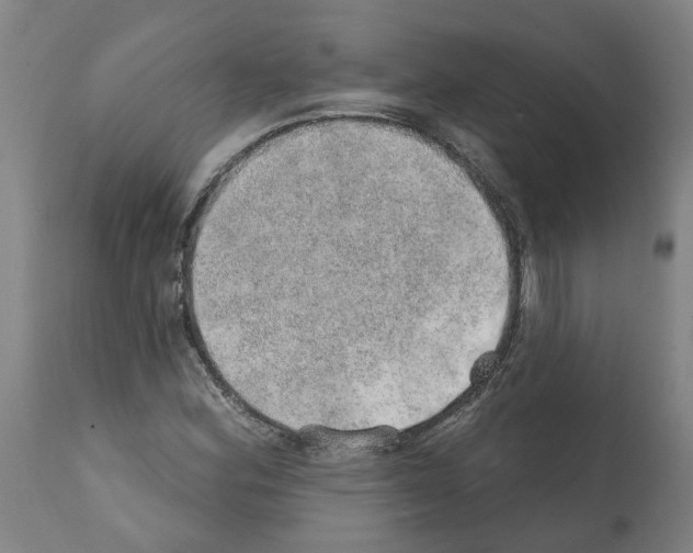 X0000112381164200909241207