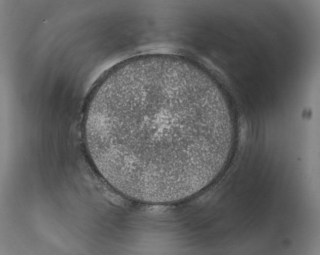 X0000112381166200909241207