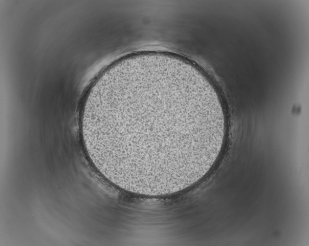 X0000112381167200909241207