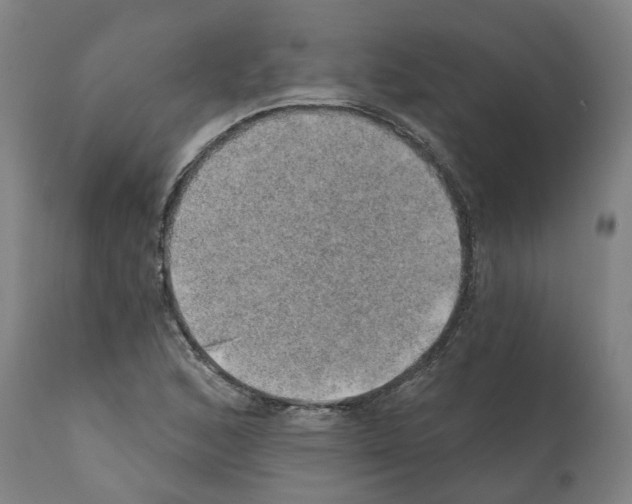 X0000112381168200909241207