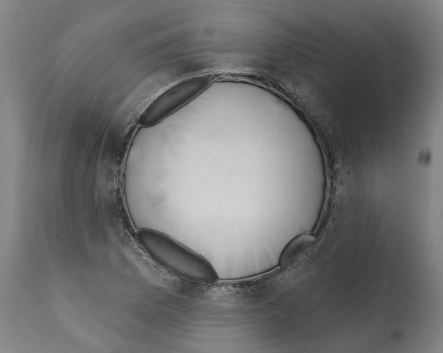 X0000112381169200909241207